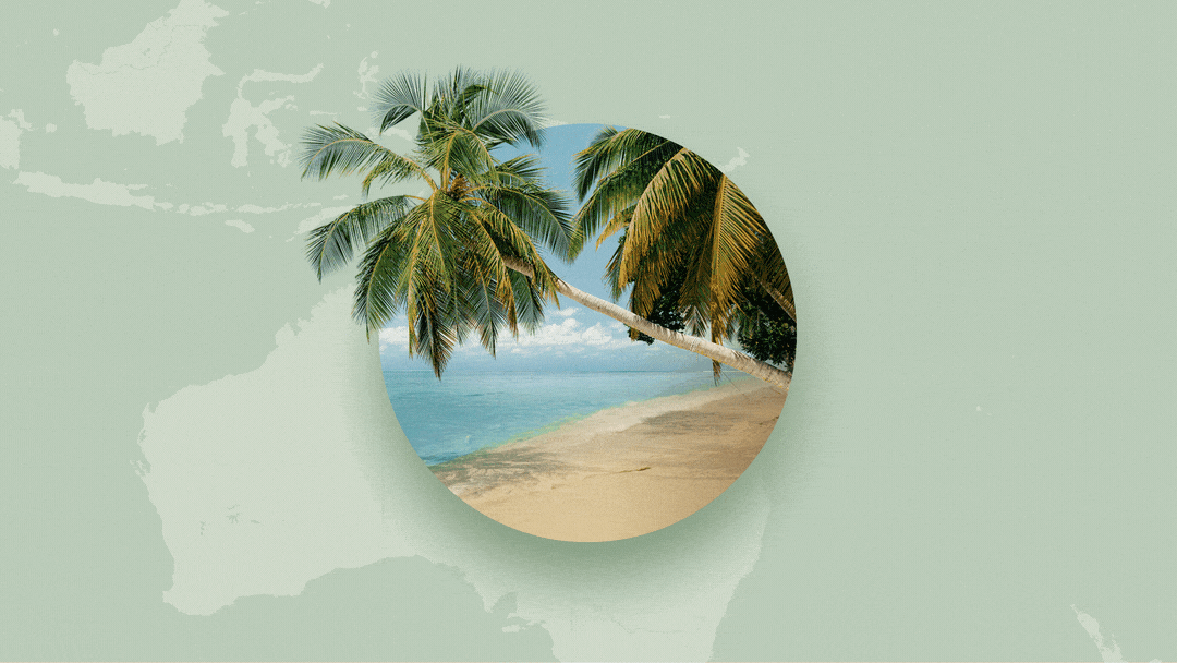 04_Daily_PalmTree_FullComp_1